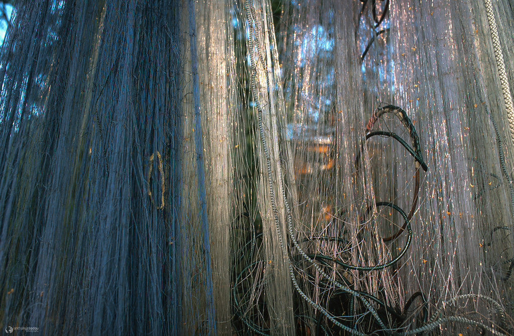 Fishing net